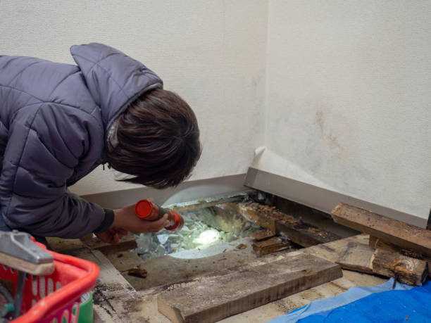 Best Post-Construction Mold Inspection  in Naples Park, FL