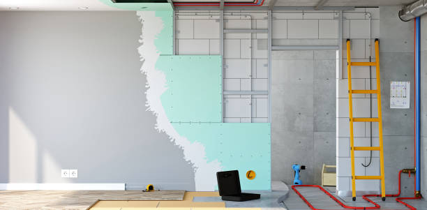 Best Forensic Mold Investigation  in Naples Park, FL